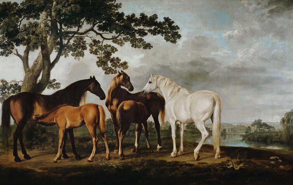 Mares and fillies from George Stubbs