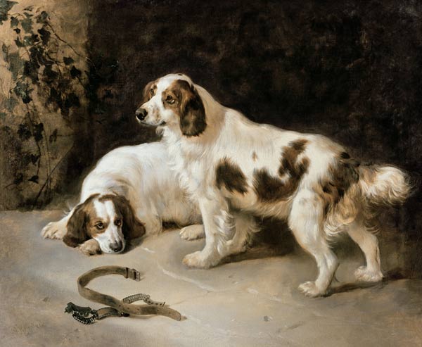 Brittany Spaniels from George W. Horlor
