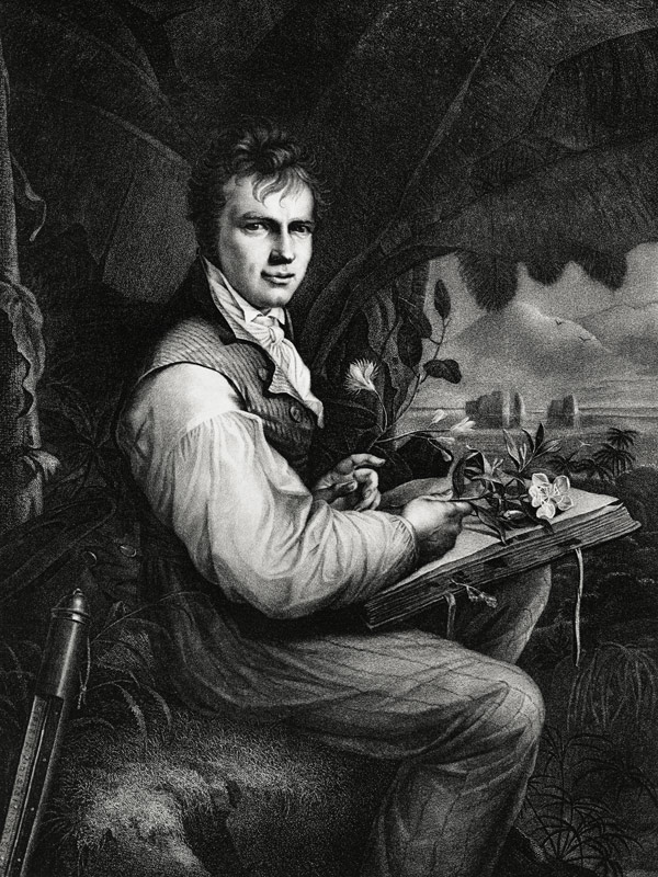 Alexander von Humboldt from German School, (19th century)