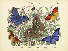 Butterflies, c.1860
