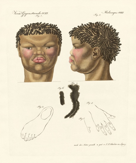 The hottentot or bushman from German School, (19th century)