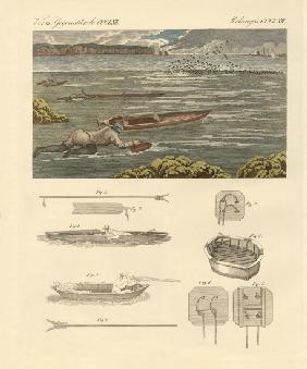 The hunting of waterbirds on the coasts of England