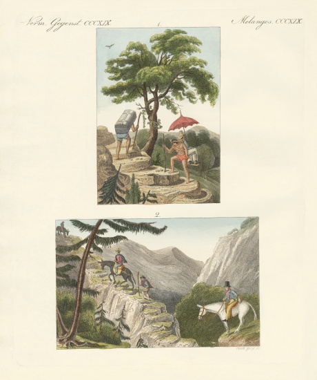 The Pass of Honda on the way to Bogota and the Pass of Quindio from German School, (19th century)