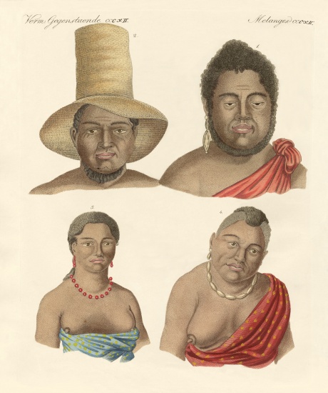 The Sandwich Islanders from German School, (19th century)