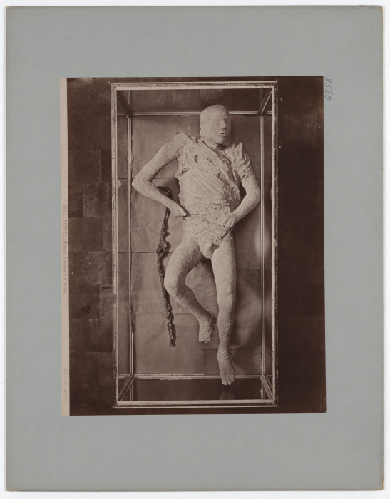 Pompeii: (Museum) Corpse of a man, No. 5573 from Giacomo Brogi