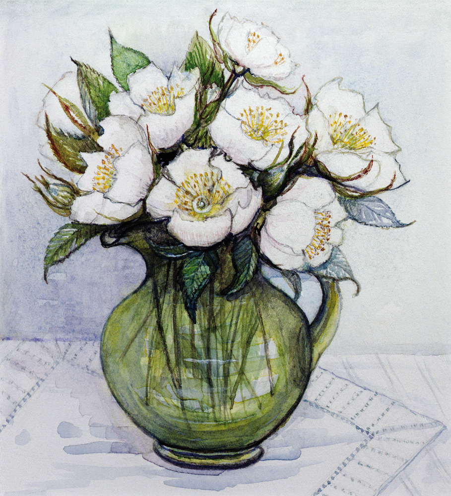 Christmas Roses, 1984  from  Gillian  Lawson