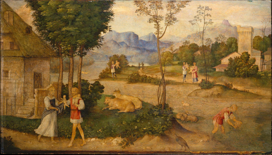 The Finding of Romulus and Remus from Giorgione