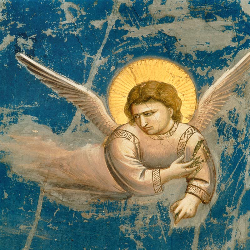 Giotto /Flight to Egypt, Angel/ C14th from Giotto (di Bondone)