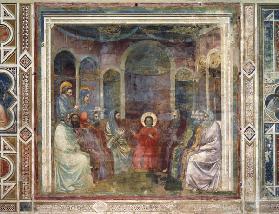 12-year-old Jesus in temple / Giotto