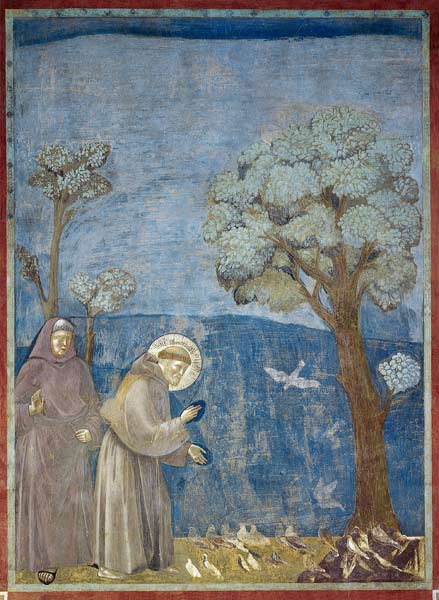 St. Francis Preaching to the Birds from Giotto (di Bondone)