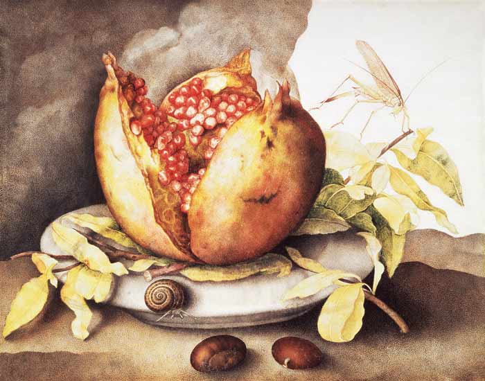 Pomegranate with Chestnuts from Giovanna Garzoni