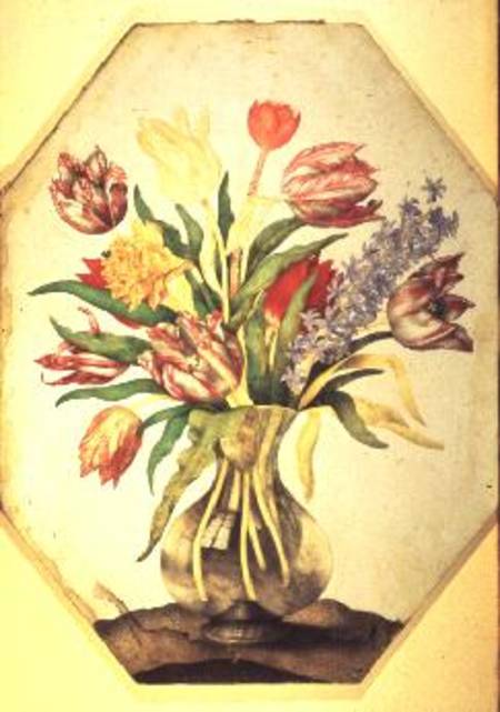 Glass Vase of Tulips with a Hyacinth from Giovanna Garzoni
