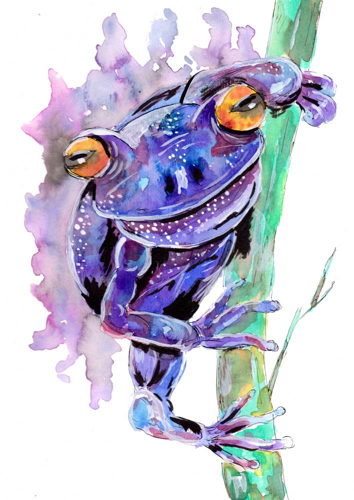 Purple Frog from Sebastian  Grafmann