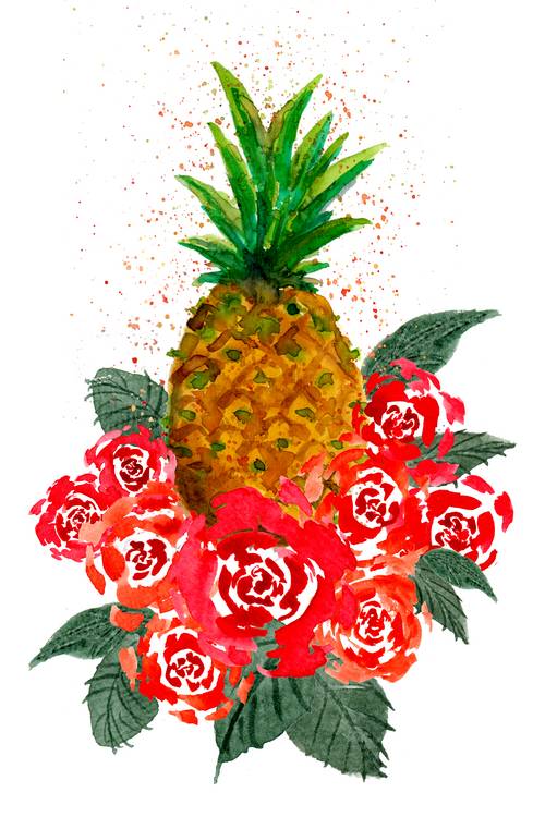Roses and Pineapple from Sebastian  Grafmann