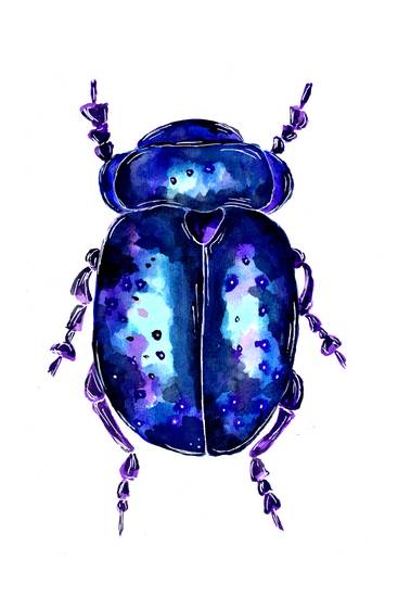 Blue and Purple colored Leaf Beetle