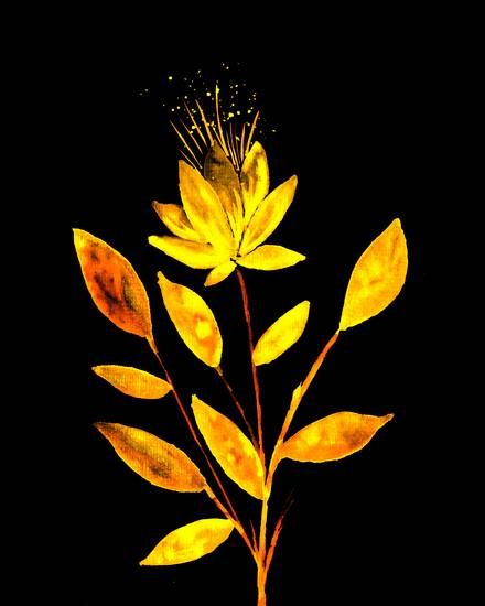 Goldene Feuerblume