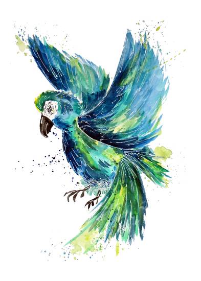 Turquoise Watercolor Parrot