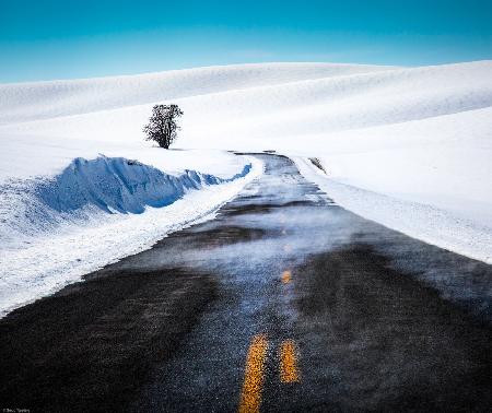 Palouse Road in Winter