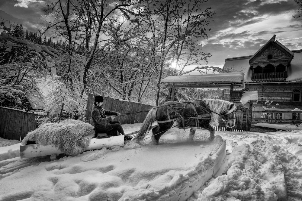 Hard Winter from Grigore Roibu
