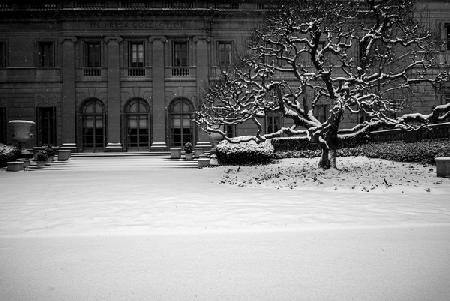 Frick Collection Winter N¬∫2