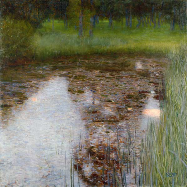 The Swamp from Gustav Klimt