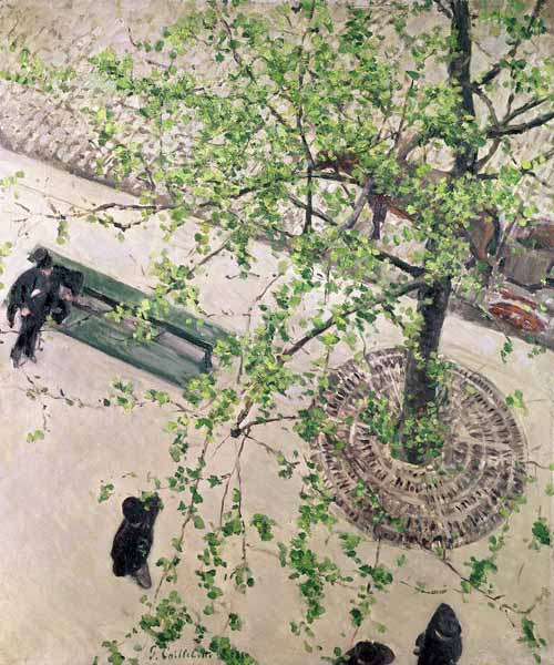 The Boulevard Viewed from Above from Gustave Caillebotte