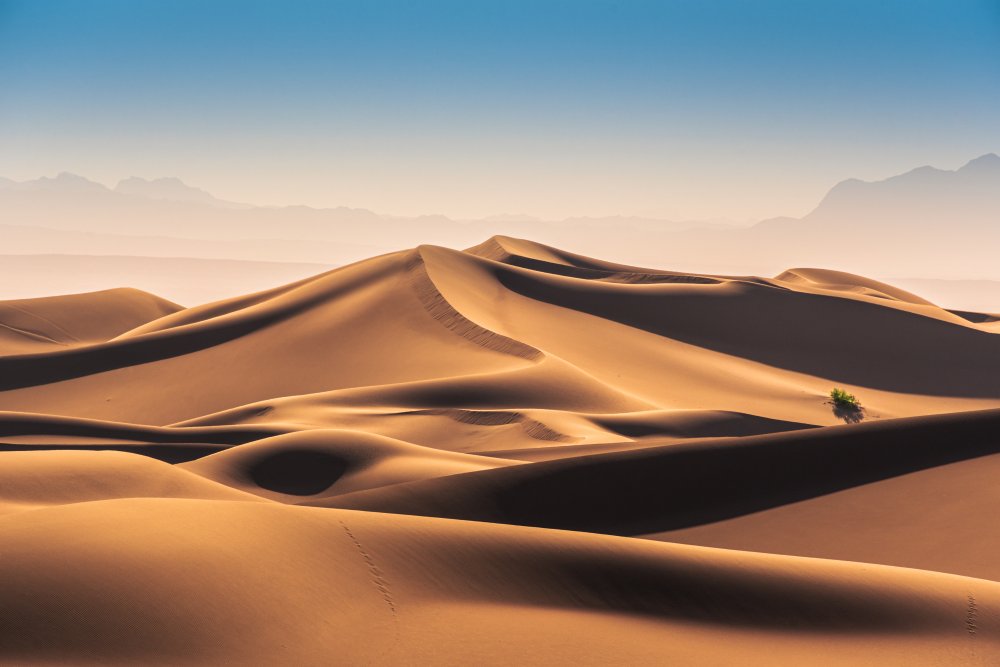 Caracal Desert from Hamed Qane
