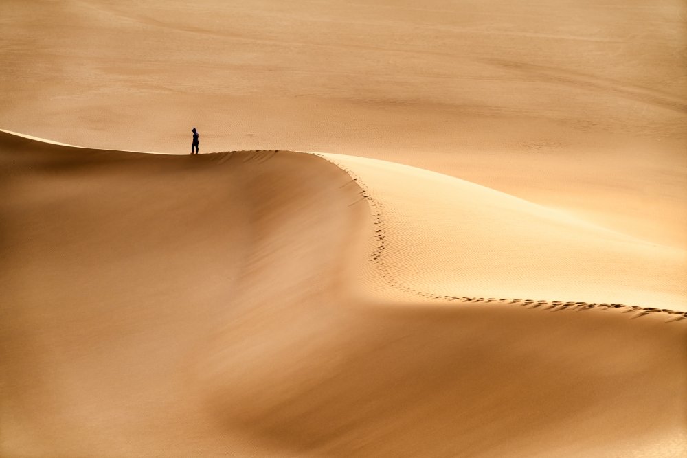 Man and the desert from Hamid Jamshidian