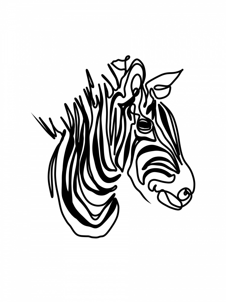 The Zebra from Hanna Lee Tidd