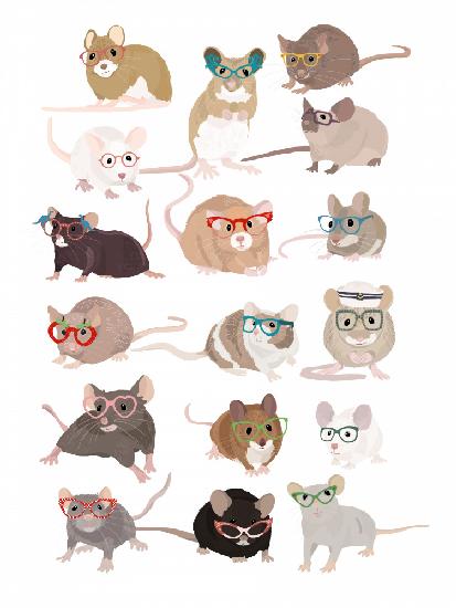 Mice In Glasses
