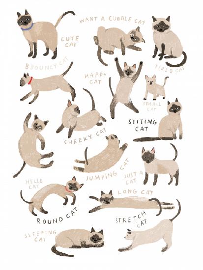 Siamese Cat Print