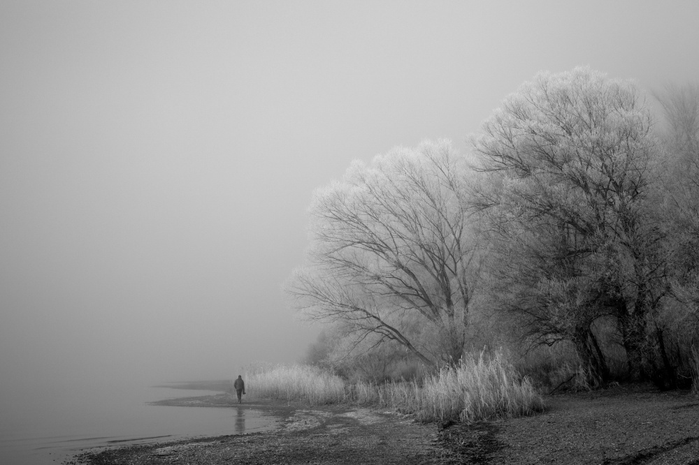 A foggy day at the lake from Hans Peter Rank
