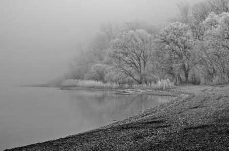 hoarfrost and fog