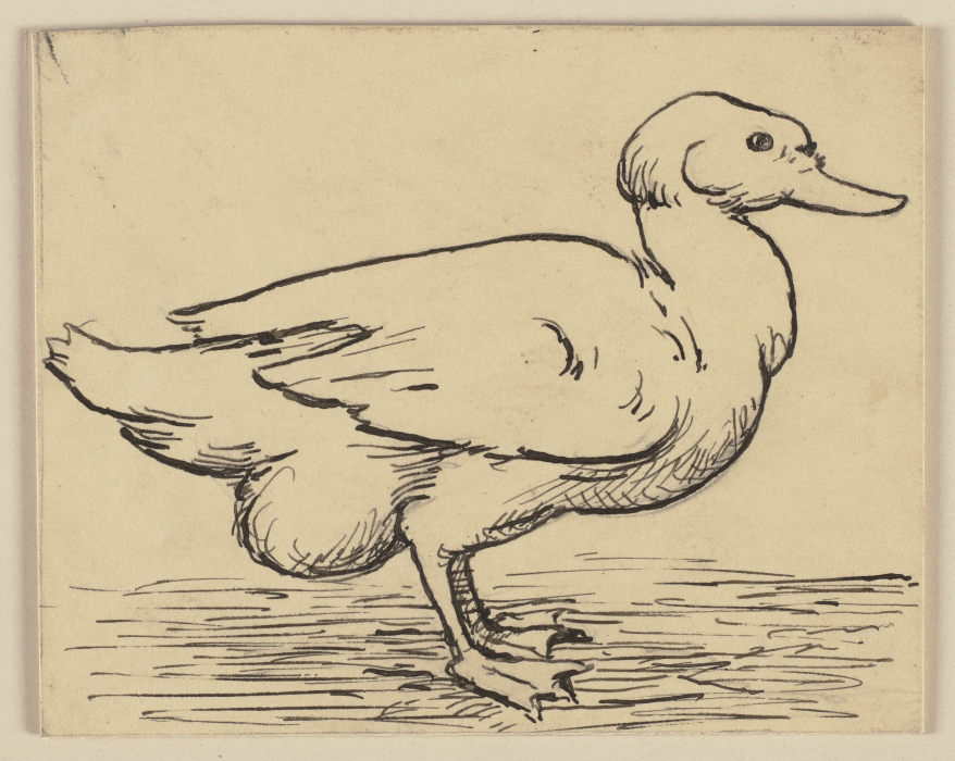 Zeichnung zur Fibel: Ente from Hans Thoma