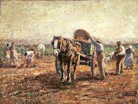 The Potato Pickers