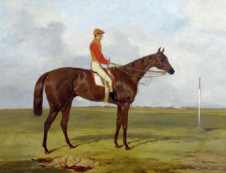 A Portrait of 'The Cossack', Winner of the 1847 Derby with S. Templeman Up