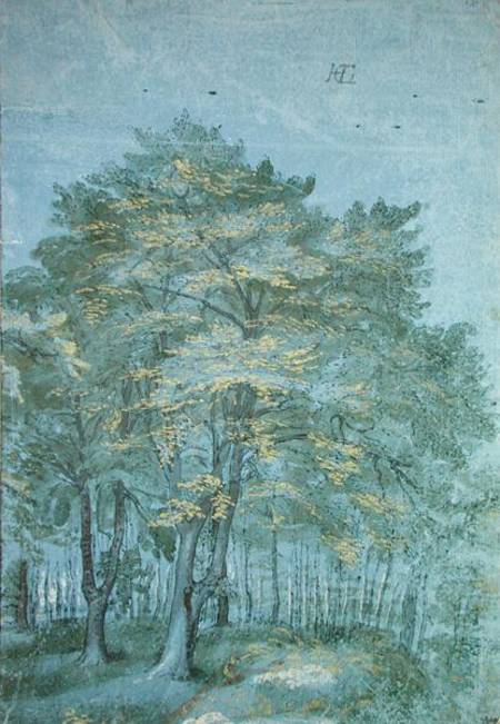 Group of Trees in a Wood from Hendrick Goltzius