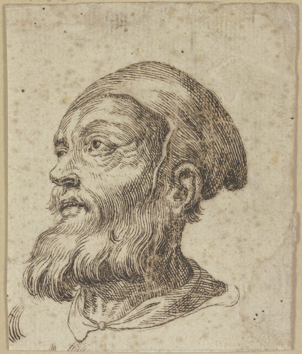 Kopf eines alten Mannes im Dreiviertelprofil nach links from Hendrick Goltzius