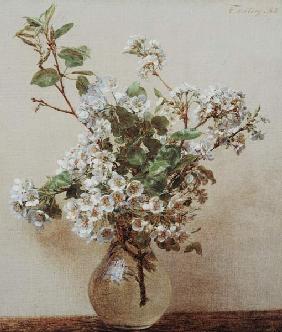 Pear Blossom