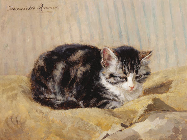 The Tabby from Henriette Ronner-Knip