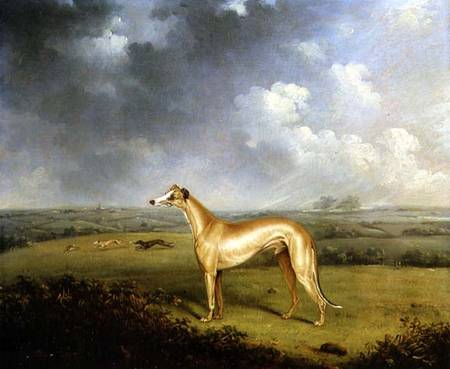 Reverend Henry Bate Dudley's Greyhound 'The Miller' from Henry Bernard Chalon
