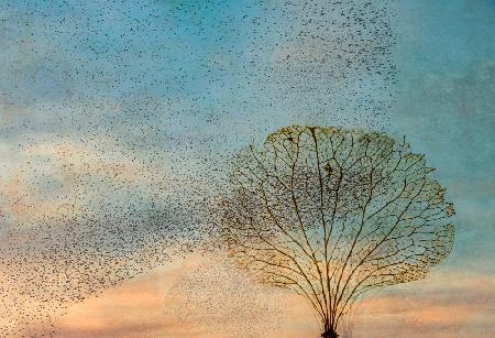 the birds and the tree