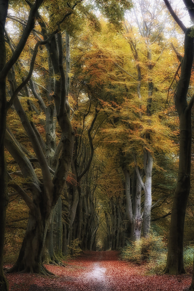 autumnsphere from Hilda van der Lee