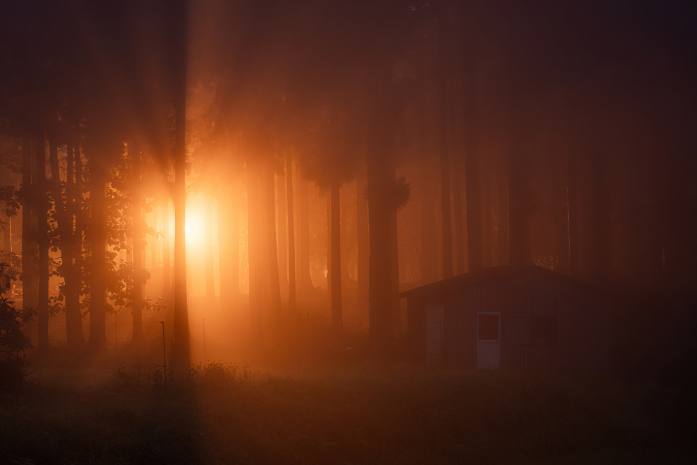 Light in the Mist from Hiroaki Ikeshita