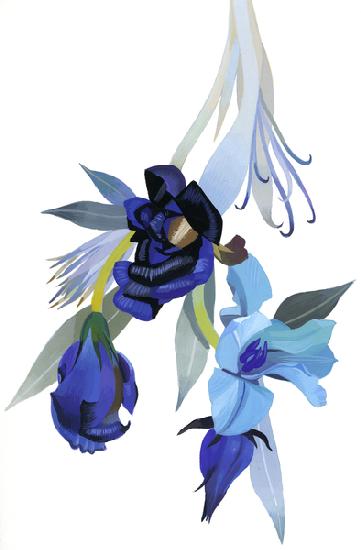 Flower drawn with blue tone