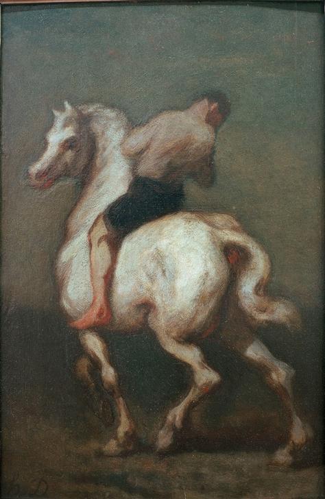Un homme sur un cheval blanc from Honoré Daumier