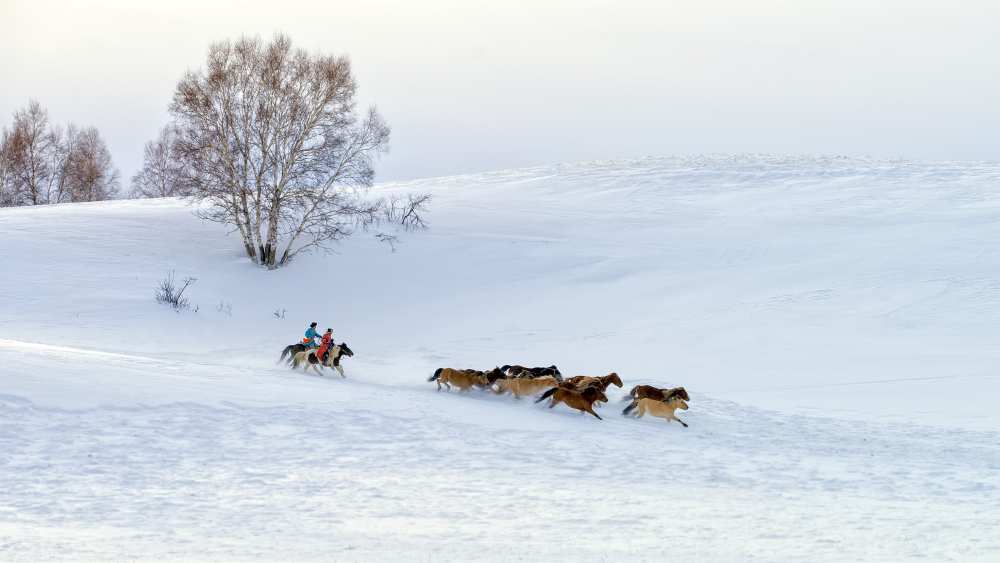 Racing on snow from Hua Zhu