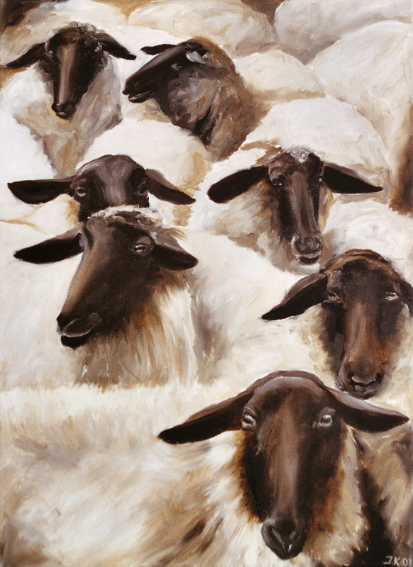 Sheep from Ingeborg Kuhn