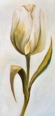 White tulip 3