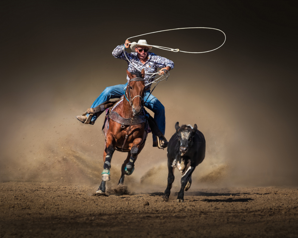 Cattle Roping from Irene Wu